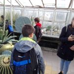 Botanická záhrada Košice - výstava Magické svetielkujúce rastliny